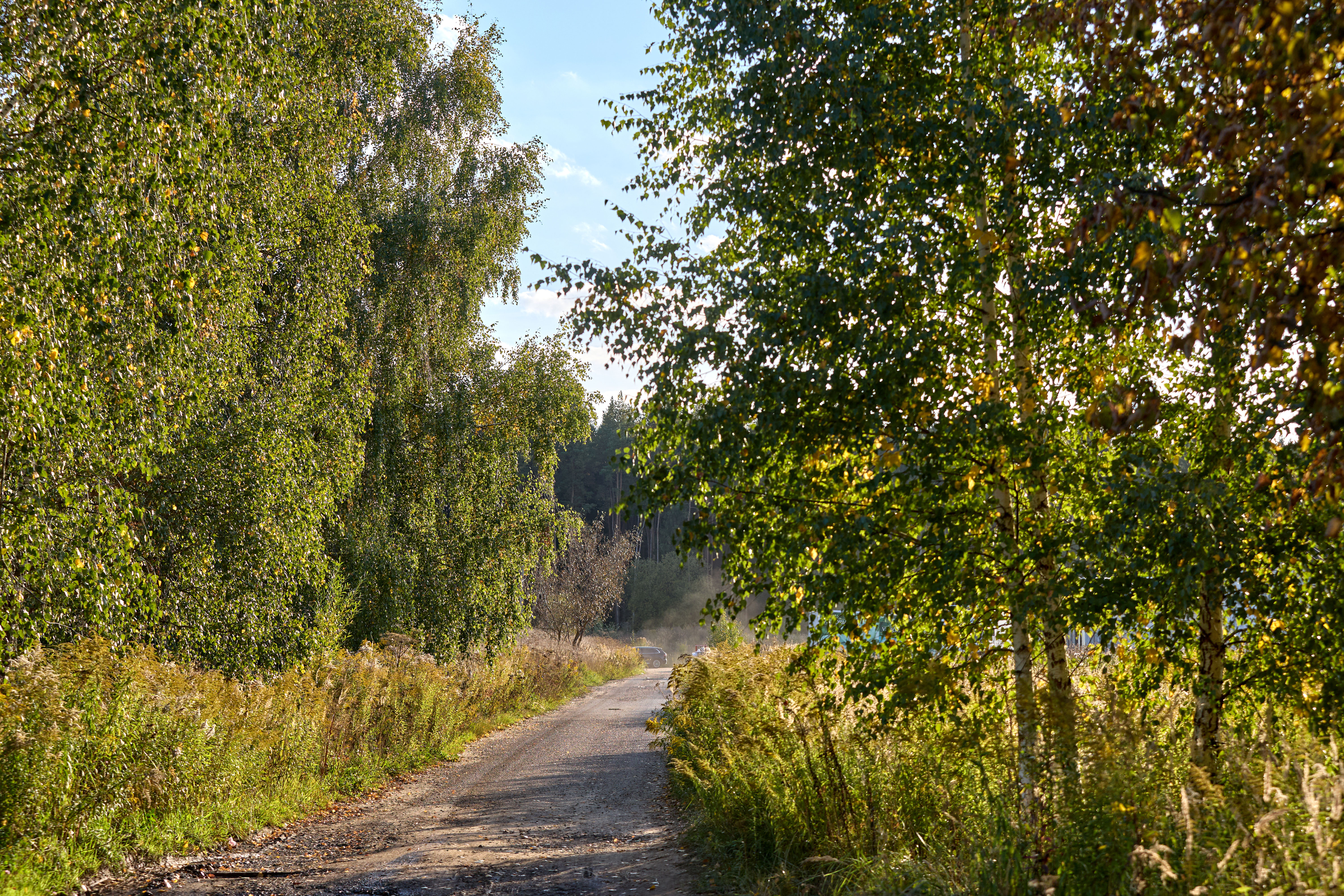 Галерея